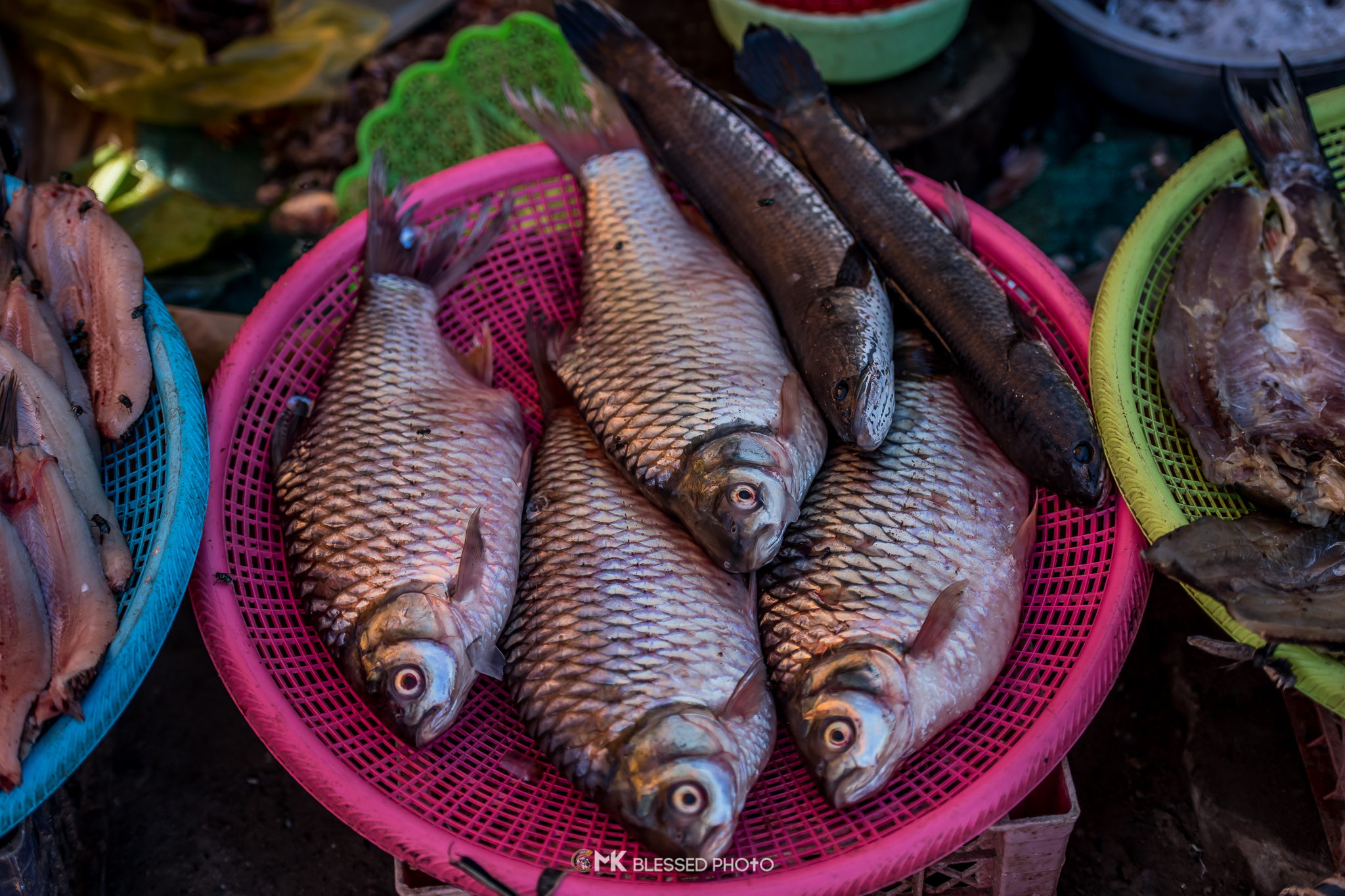 Local Market in Siem Reap