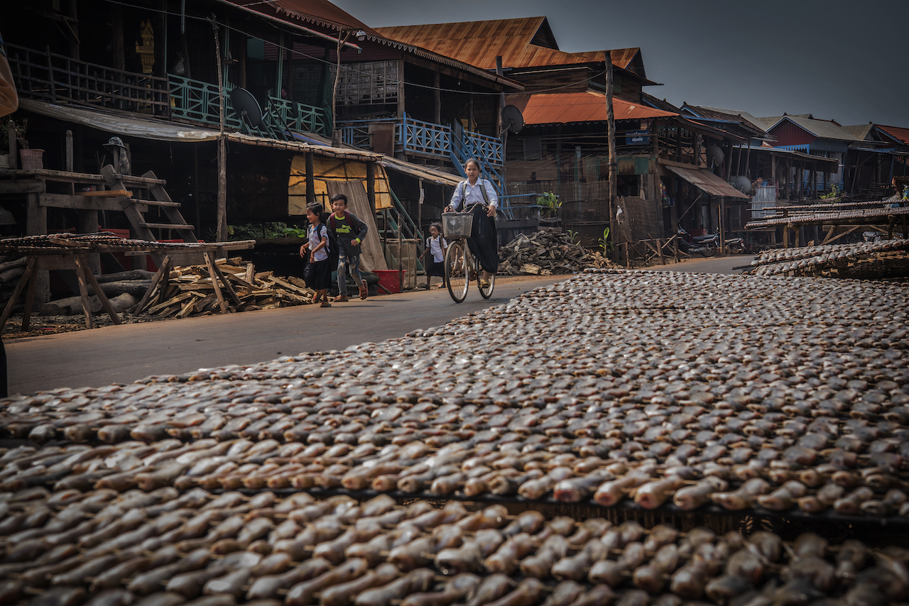 Kompong Phluk