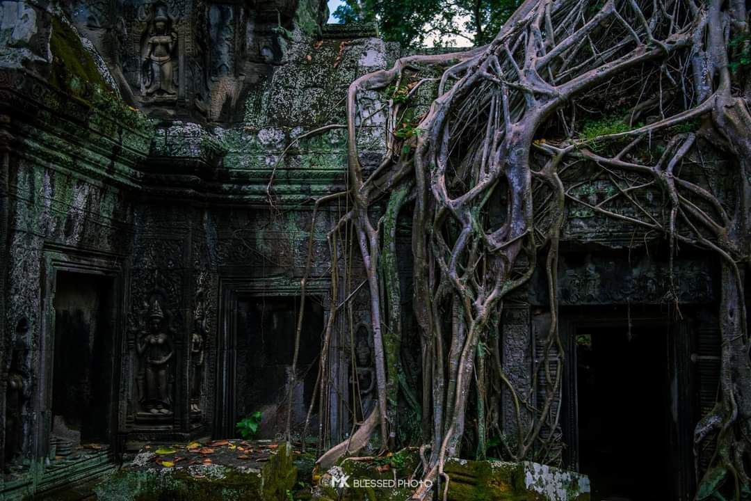 Siem Reap Wonder