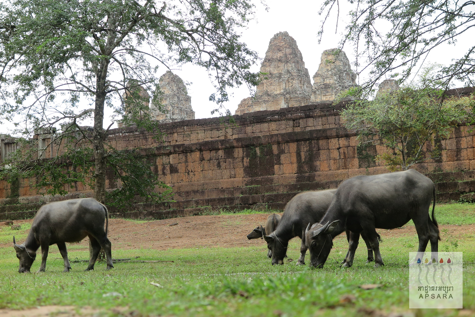East Mebon