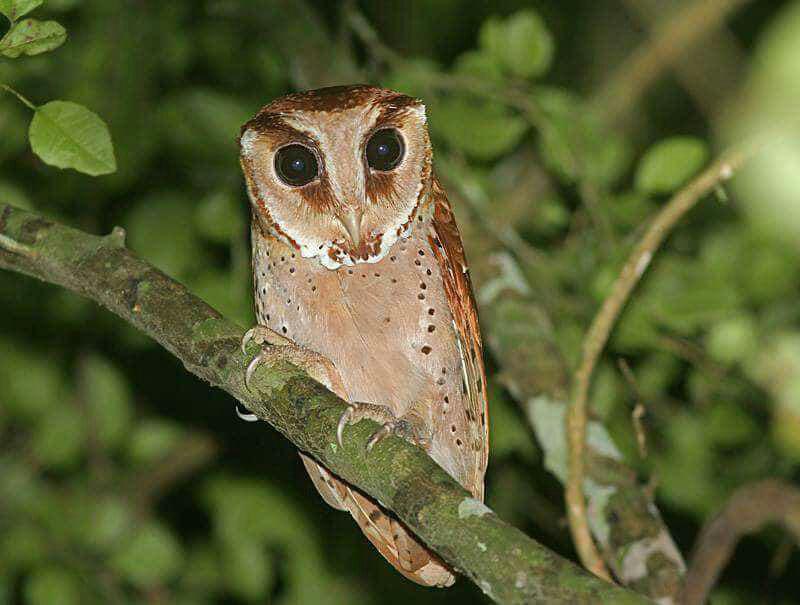 Nature & Wildlife