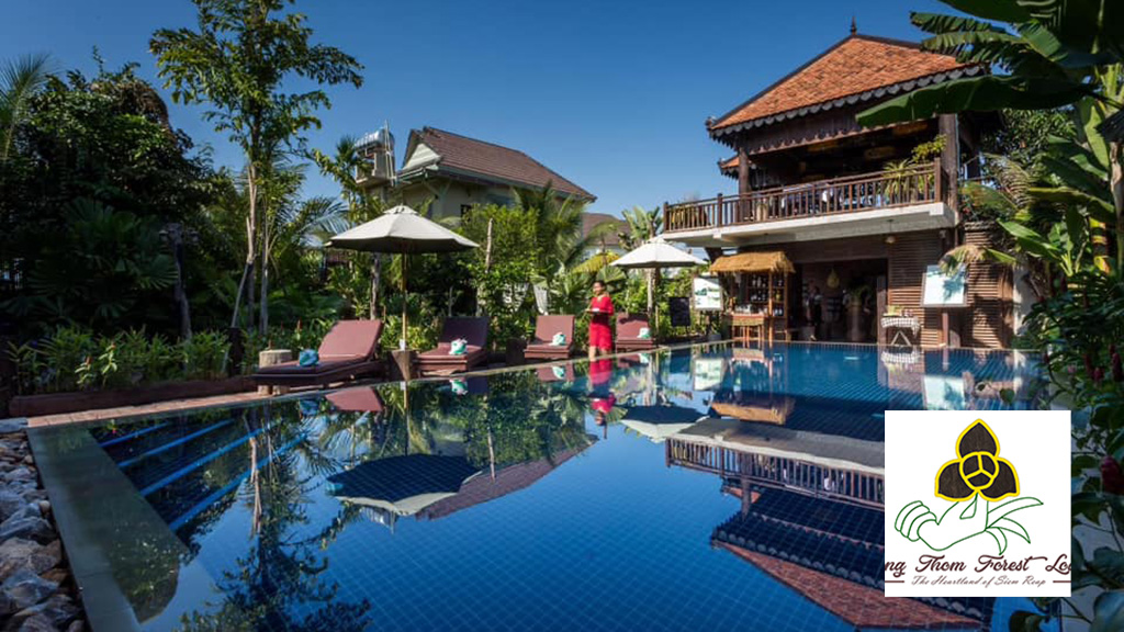 Eco Lodge & Camping