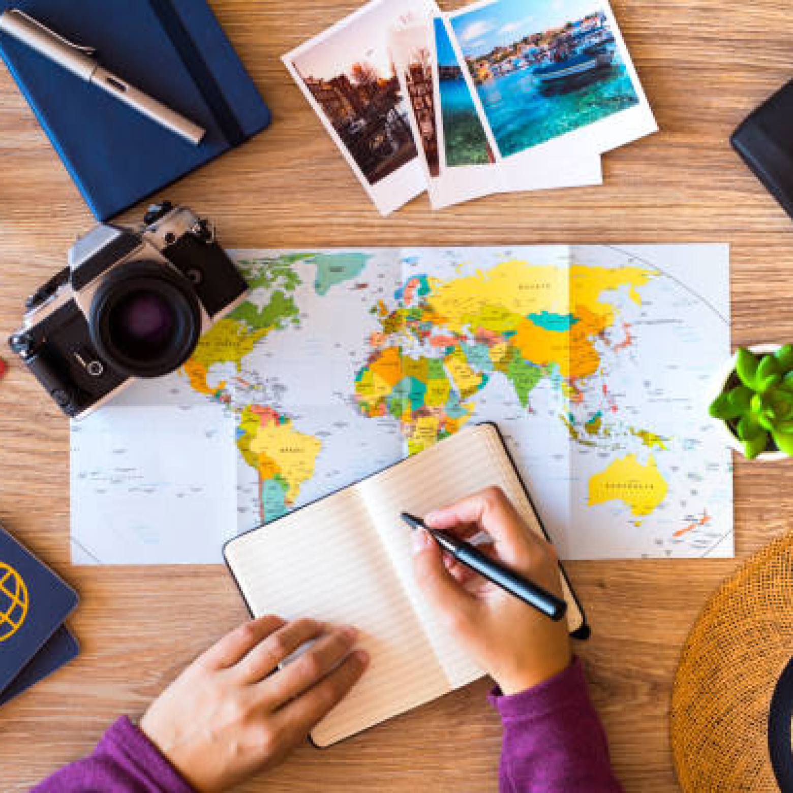 Plan your trip
