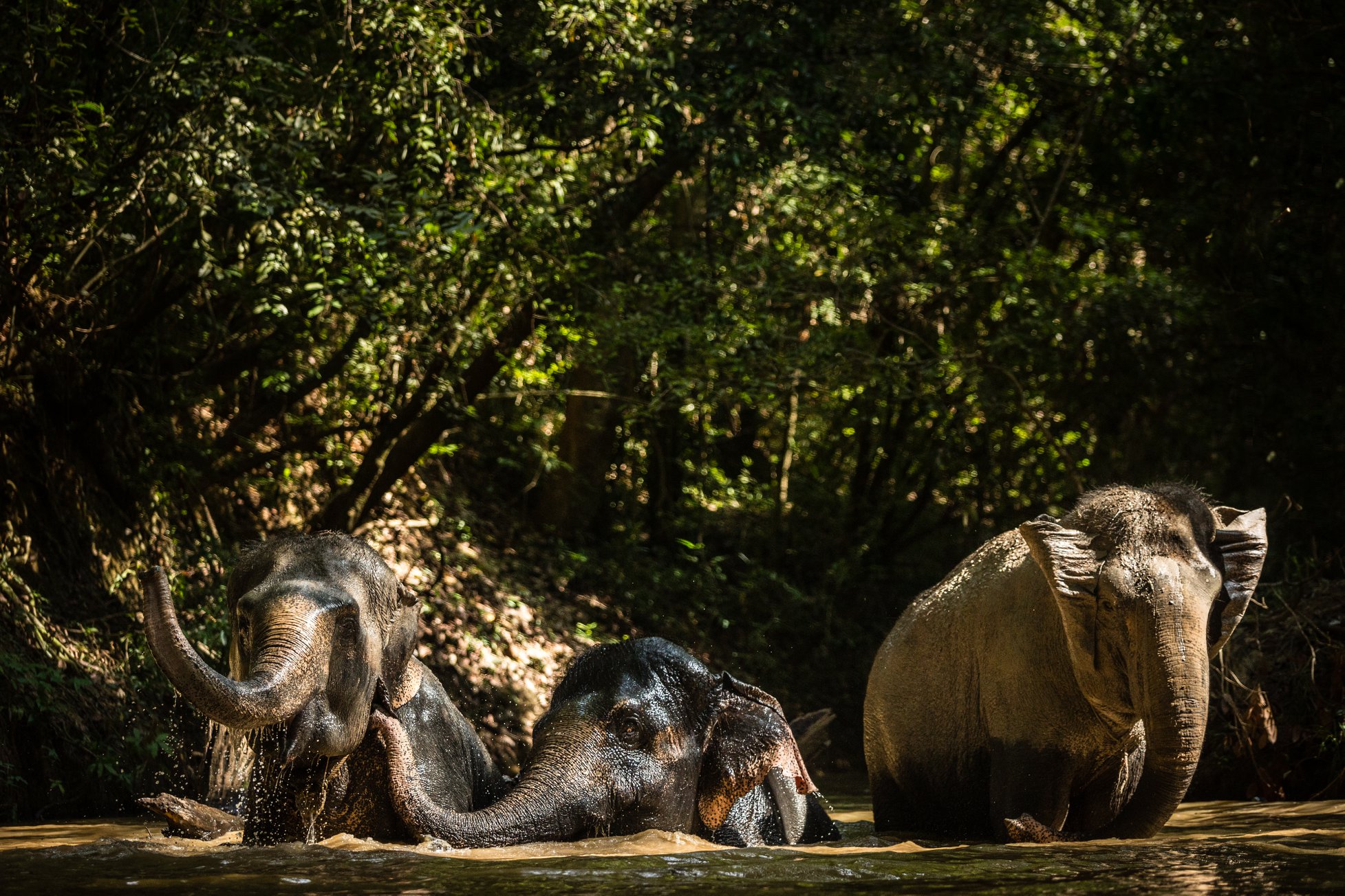 Sustainable Tourism